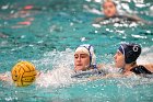 WWPolo @ CC  Wheaton College Women’s Water Polo at Connecticut College. - Photo By: KEITH NORDSTROM : Wheaton, water polo